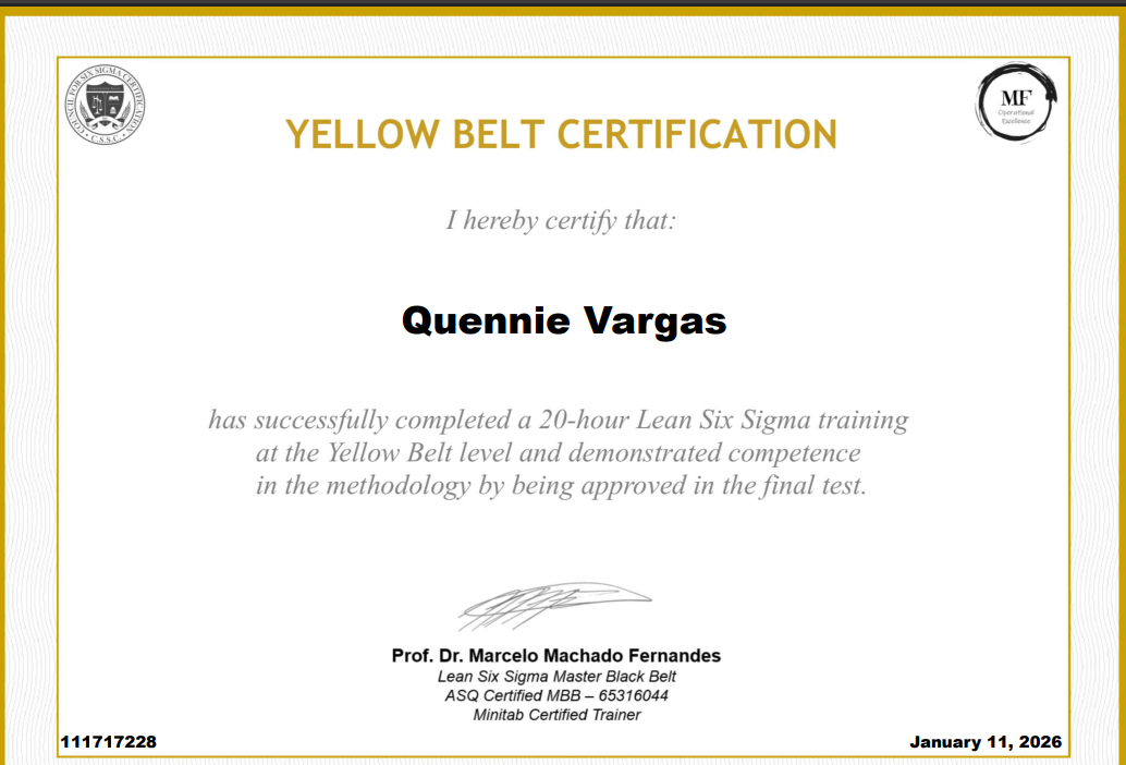 Yellow Belt